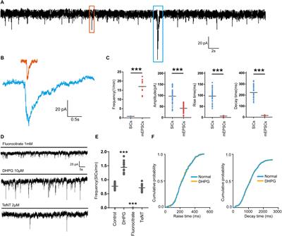 Ketamine Within Clinically Effective Range Inhibits Glutamate Transmission From Astrocytes to Neurons and Disrupts Synchronization of Astrocytic SICs